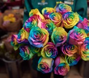 The rainbow roses will be sold for Valentine's Day, and support homeless LGBT youth.