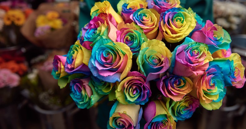 The rainbow roses will be sold for Valentine's Day, and support homeless LGBT youth.