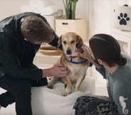 Tan France and Jonathan van Ness with rescue dog Lacey