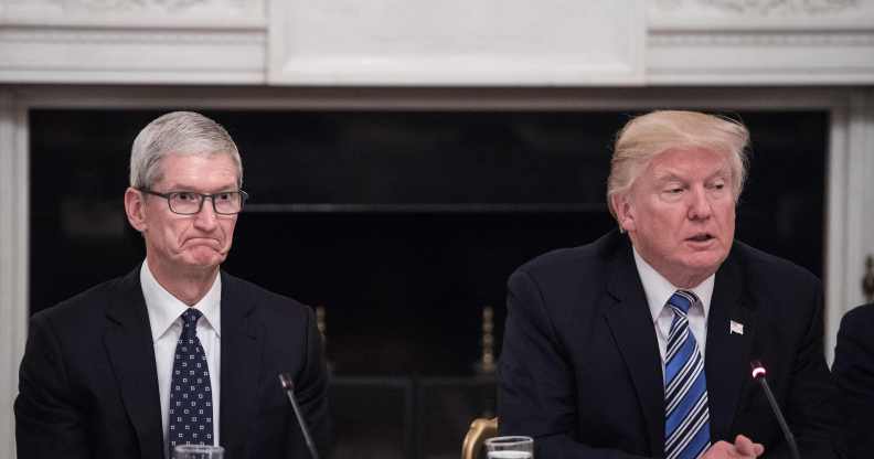 Apple CEO Tim Cook (L) listens to US President Donald Trump during an American Technology Council roundtable at the White House in Washington, DC, on June 19, 2017.