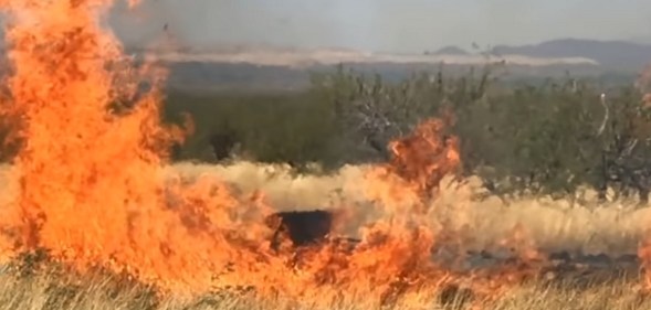 A screenshot from a video of the gender reveal party in Arizona which caused a huge wildfire