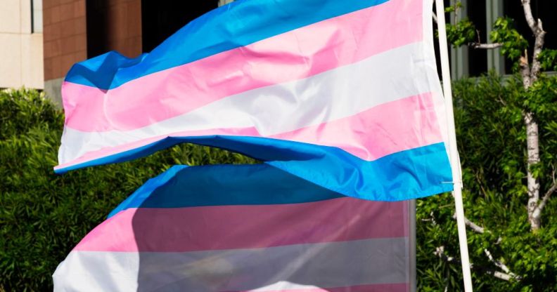 Trans activists sue Tennessee for refusing gender change on birth certs