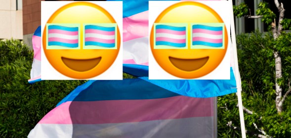 Apple has finally rolled out the trans Pride flag emoji to iPhone