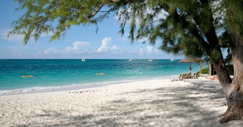 A beach in The Bahamas (Getty)