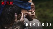 Bird Box Theories And Hidden Messages Behind The Netflix Movie PinkNews Bird Box Theories And Hidden Messages Behind The Netflix Movie PinkNews