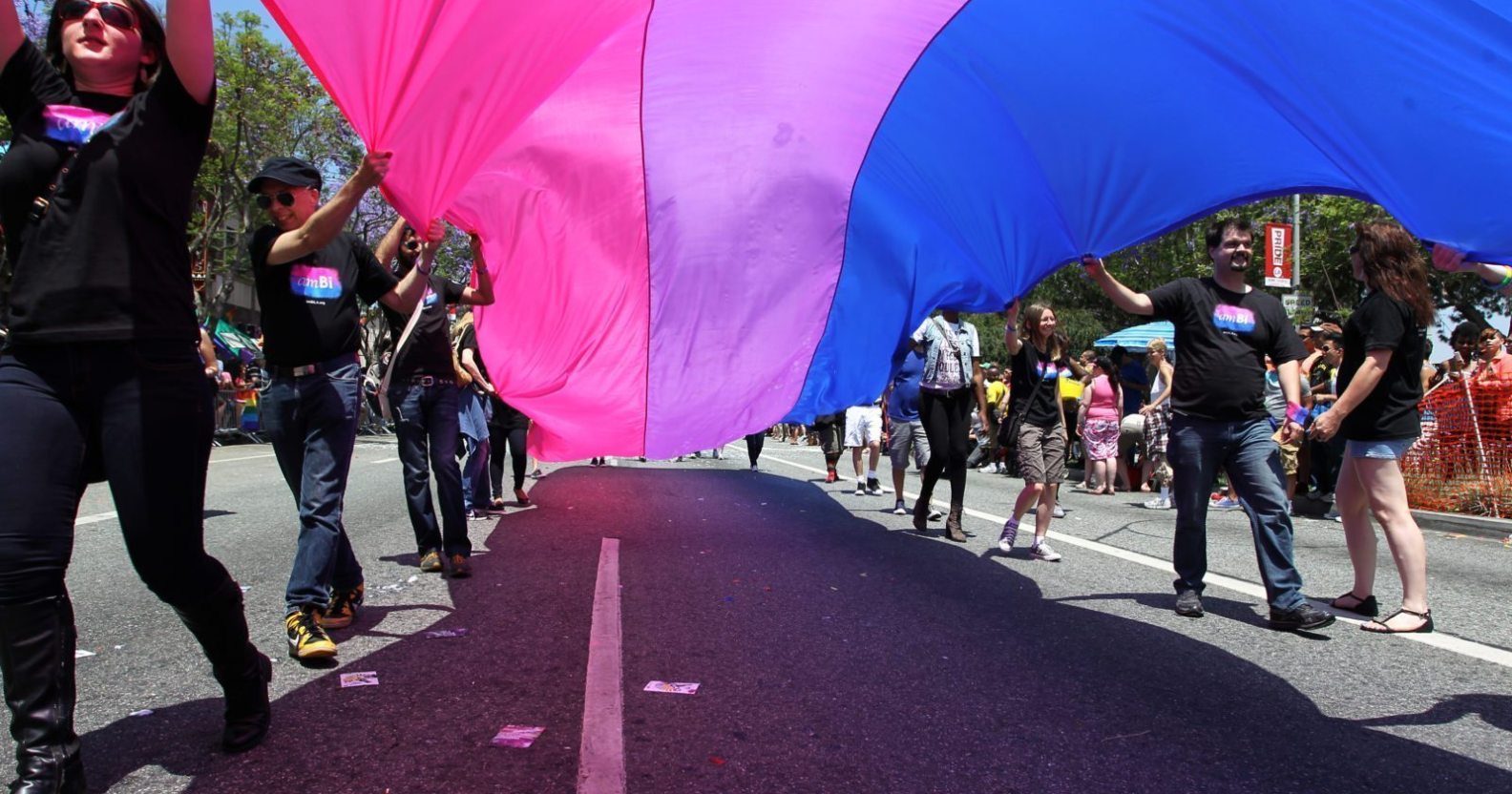 WEST HOLLYWOOD, CA - JUNE 09: People marching with anBi, a bisexual organization, carry a bisexual flag in the 43rd L.A. Pride Parade on June 9, 2013 in West Hollywood, California. More than 400,000 people are expected to attend the parade in support of lesbian, gay, bisexual and transgender communities. (Photo by David McNew/Getty Images)