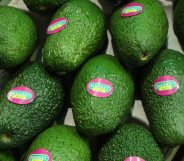 Avocado