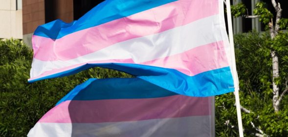 Trans pride flags flutter in the wind at a gathering to celebrate International Transgender Day of Visibility, March 31, 2017 at the Edward R. Roybal Federal Building in Los Angeles, California. International Transgender Day of Visibility is dedicated to celebrating transgender people and raising awareness of discrimination faced by transgender people worldwide. / AFP PHOTO / Robyn Beck (Photo credit should read ROBYN BECK/AFP/Getty Images)