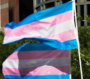 Trans pride flags flutter in the wind at a gathering to celebrate International Transgender Day of Visibility, March 31, 2017 at the Edward R. Roybal Federal Building in Los Angeles, California. International Transgender Day of Visibility is dedicated to celebrating transgender people and raising awareness of discrimination faced by transgender people worldwide. / AFP PHOTO / Robyn Beck (Photo credit should read ROBYN BECK/AFP/Getty Images)