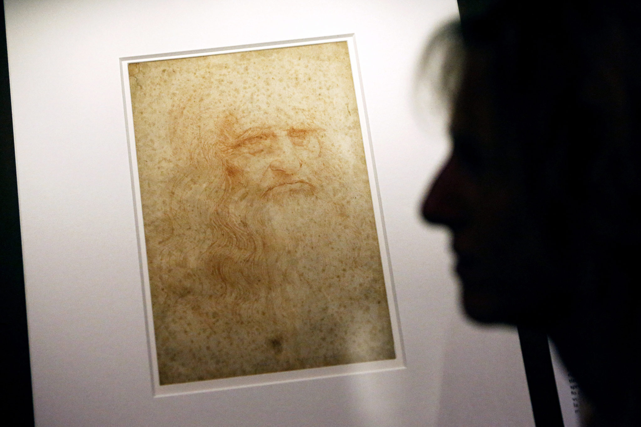 New biography paints a portrait of Leonardo da Vinci's life as an