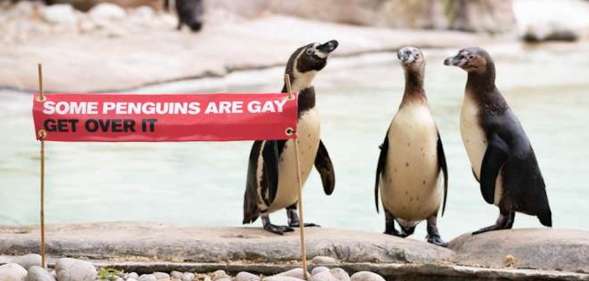 Gay penguins London Zoo