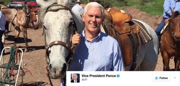 Mike Pence tweeted about a horse and it got weird. (Twitter)