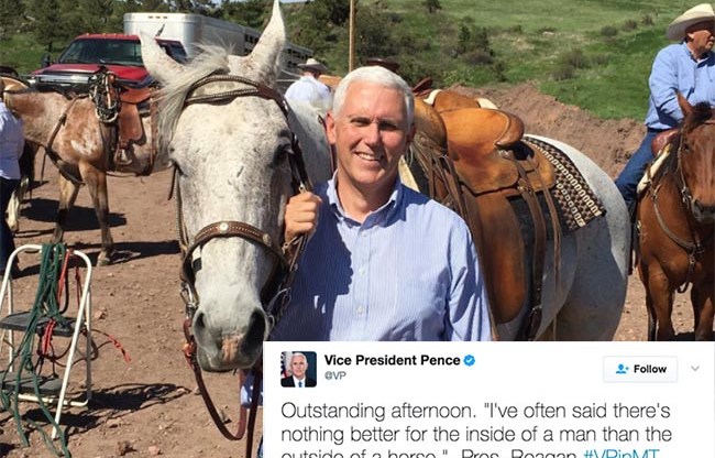 Mike Pence tweeted about a horse and it got weird. (Twitter)