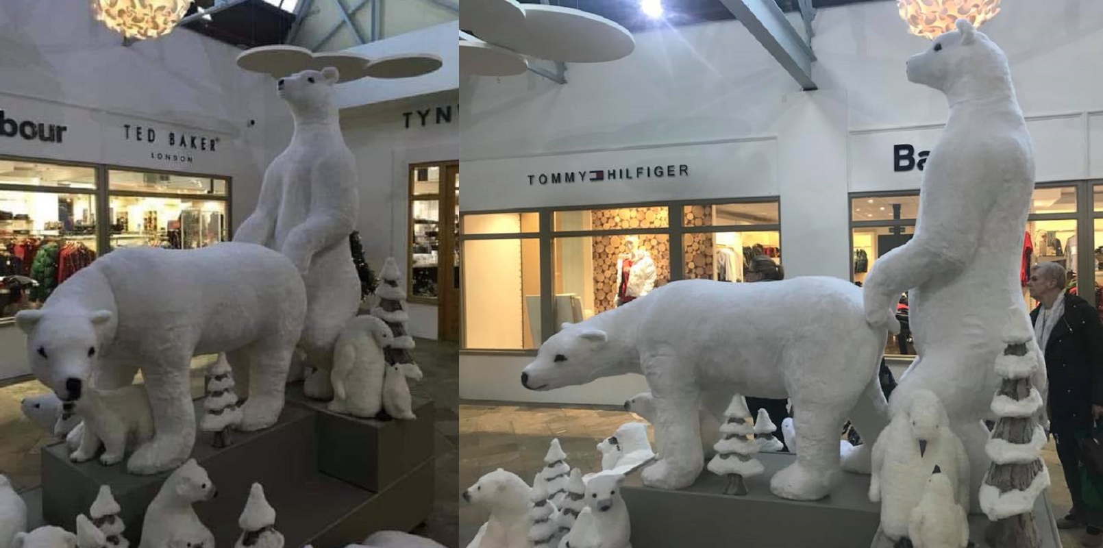 Shopping centre apologises for polar bear anal sex Christmas display