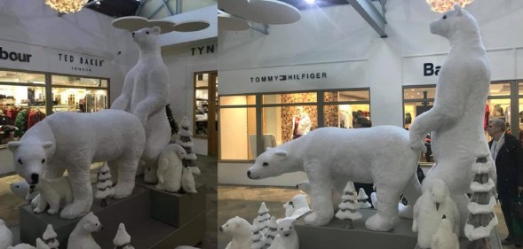 Customers said the two polar bears look like they're having anal sex