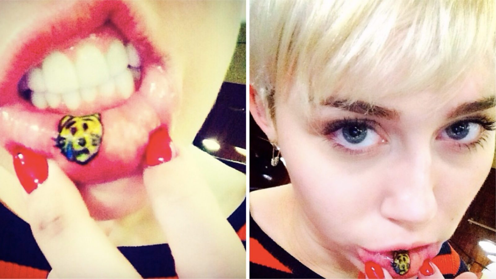 Lip tattoos: All the bizarre things people get tattooed on their inner lip from sad kitties to dinosaurs