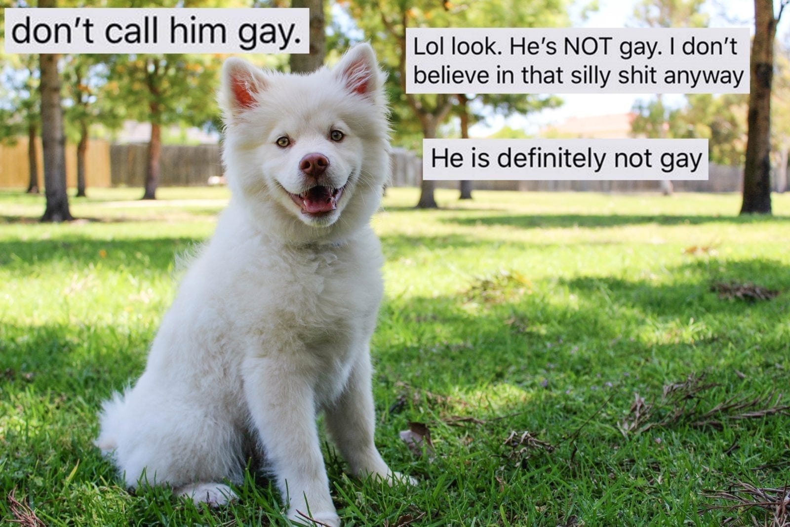This definitely-not-homophobic guy freaked out at the idea his dog