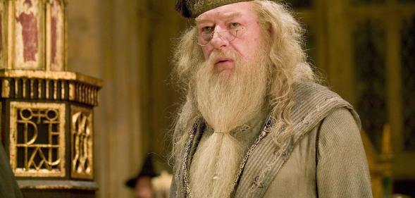Sir Michael Gambon as Albus Dumbledore in the Harry Potter film series
