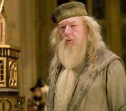 Sir Michael Gambon as Albus Dumbledore in the Harry Potter film series