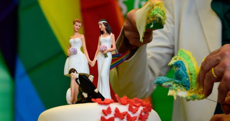 Delegates of the Greens cut a wedding cake in rainbow colors