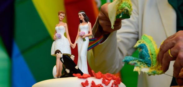 Delegates of the Greens cut a wedding cake in rainbow colors