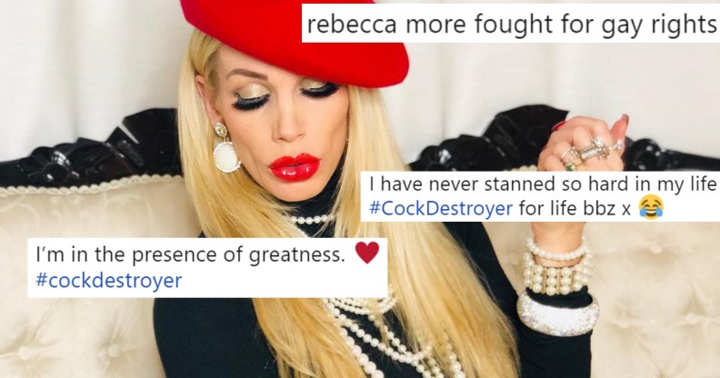 Porn star Rebecca More becomes glorious gay meme | PinkNews