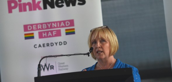 Suzy Davies at the PinkNews summer reception in Cardiff.