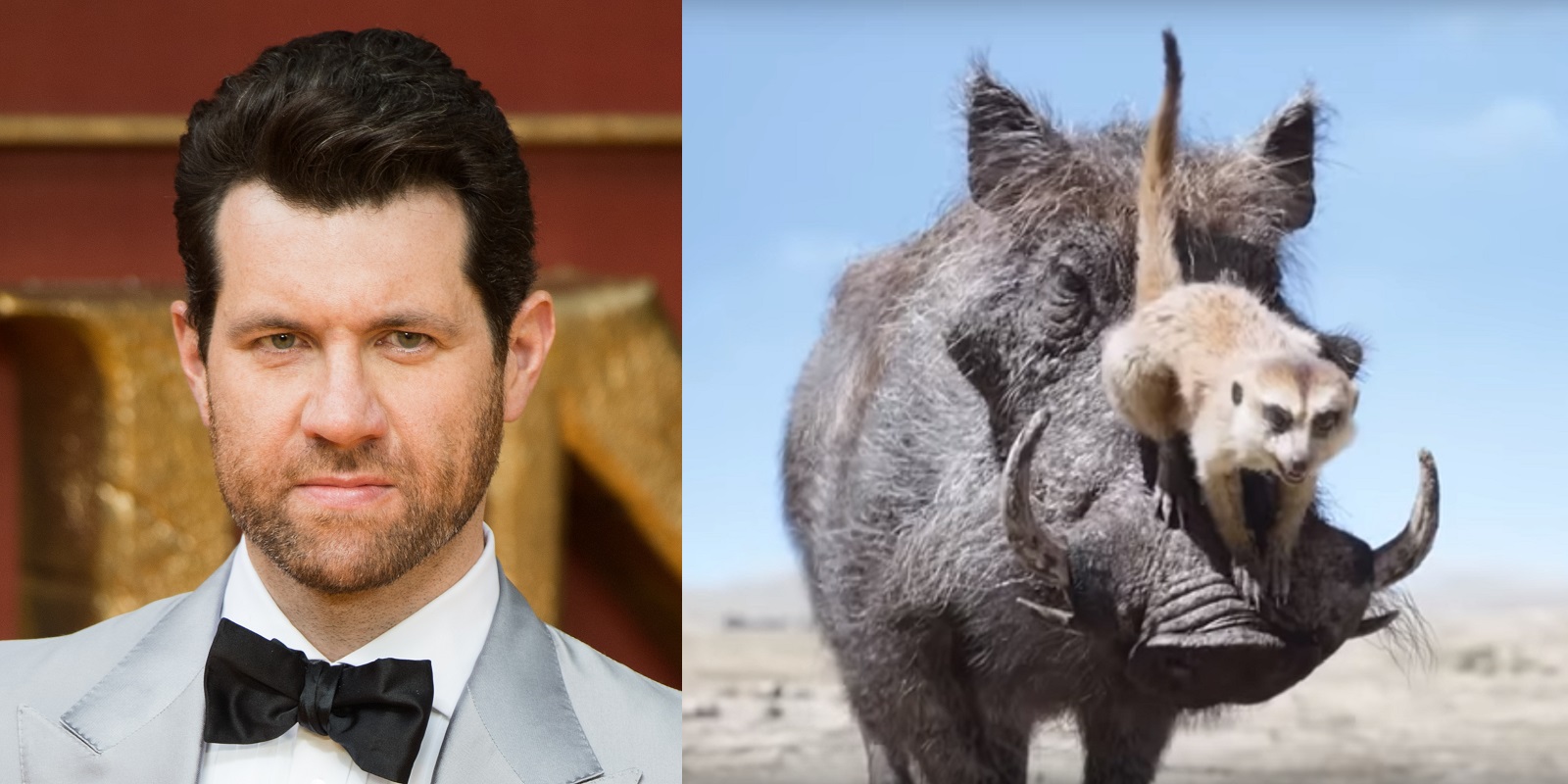 The Lion King star Billy Eichner says he played Timon with 'gay  sensibility' | PinkNews