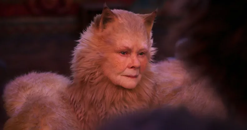 Judi Dench as a cat