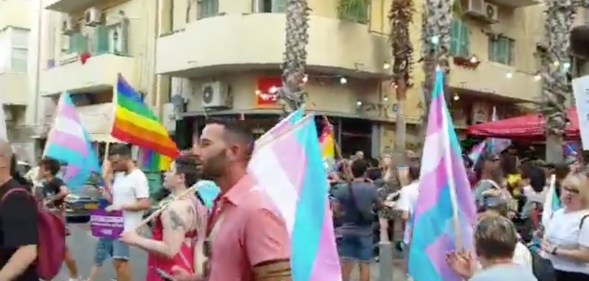 Protestors holding rainbow and trans flags