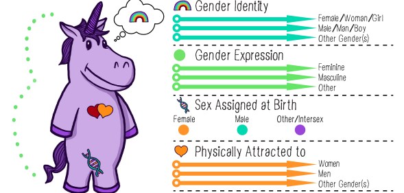 The "Gender Unicorn" handout given by the non-binary teacher