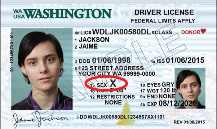 washington non-binary ID