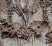 Ancient roman skeletons both men