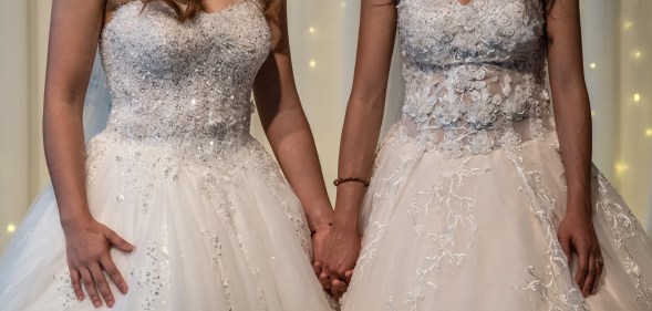 Japan same-sex couple affair with sperm donor