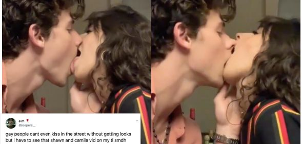 Singers Shawn Mendes and Camila Cabello "kissing" has got LGBT+ Twitter thinking the same thing (Instagram)