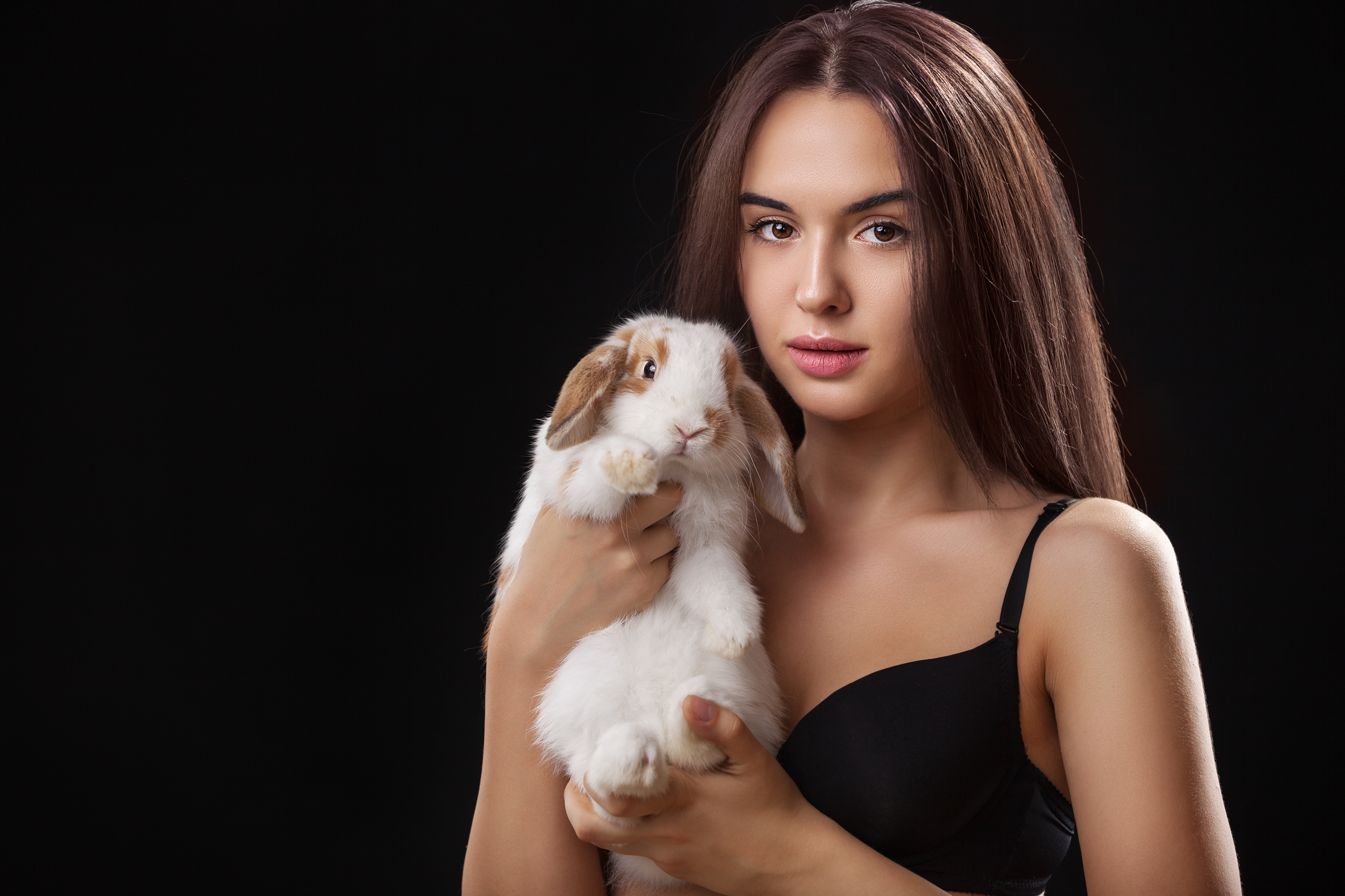 Rabbits may be key to revealing the secrets of the 'female orgasm' |  PinkNews