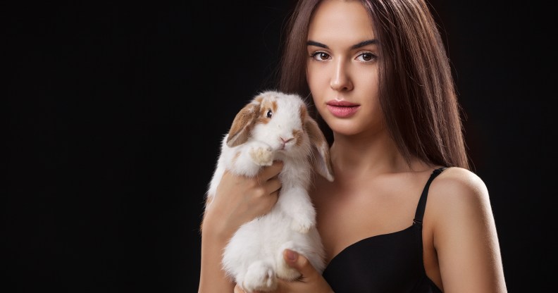 rabbits could help explain the female orgasm.