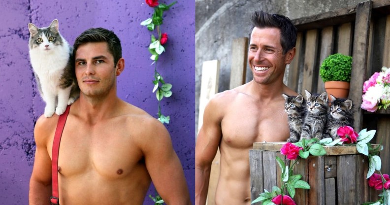 The firefighters calendar features the internet's two favourite things: hot men and kittens