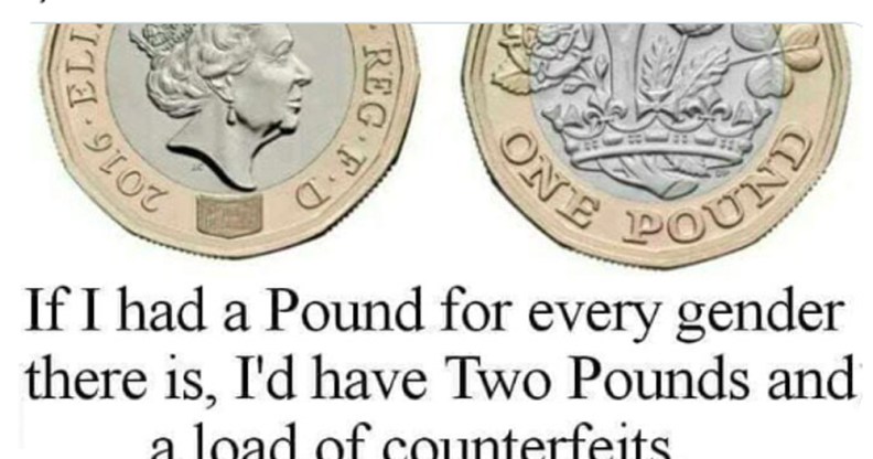 Two pound coins with the caption: If I had a pound for every gender there is, I'd have two pounds and a load of counterfeits.