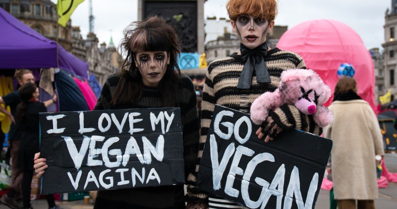 Scaredy Kat and her girlfriend supporting veganism : r/rupaulsdragrace