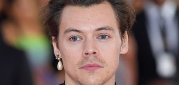 Harry Styles dangly earrings