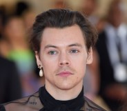 Harry Styles dangly earrings