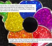 An eBay seller listed a rainbow poppy and has received "vile and rude message" as a result. (Twitter)
