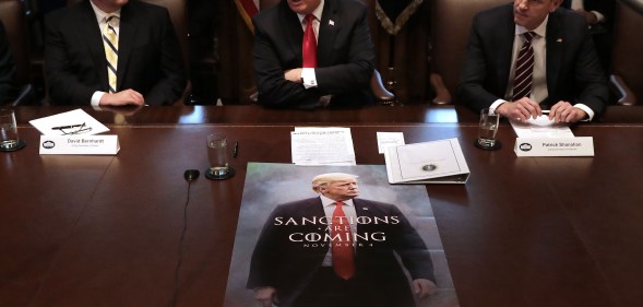 US pesident Donald Trump (C) leads a meeting of his Cabinet, including then-Interior Secretary David Bernhardt (L. (Chip Somodevilla/Getty Images)