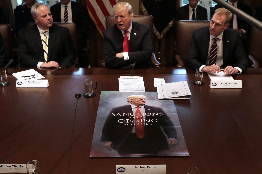 US pesident Donald Trump (C) leads a meeting of his Cabinet, including then-Interior Secretary David Bernhardt (L. (Chip Somodevilla/Getty Images)