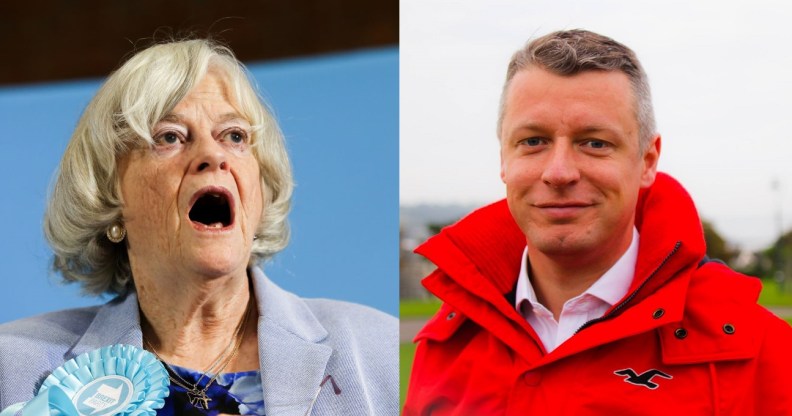 The Brexit Party's Ann Widdecombe lost to Luke Pollard