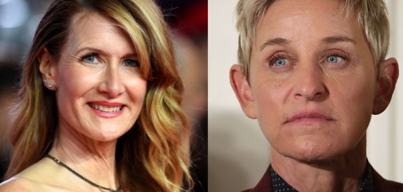Laura Dern struggled to work after Ellen DeGeneres episode