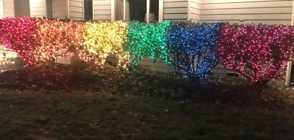 Lexi Magnusson embellished her front-lawn bushes with Pride flag-themed Christmas lights. (reddit)