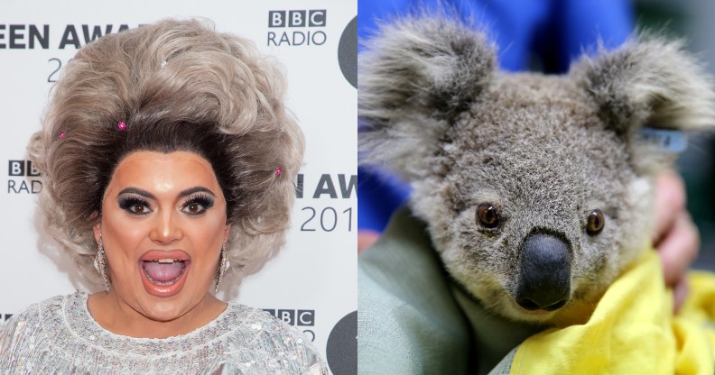 London fundraiser for Australia wildfires