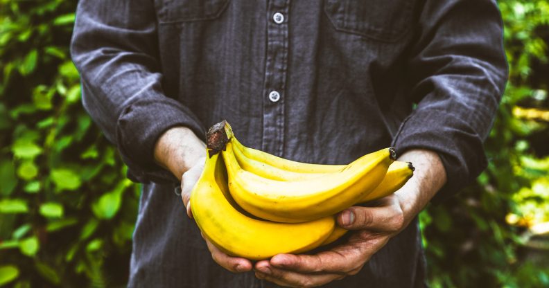 Men are using bananas as self-fashioned sex toys and it's no side-splitting matter, warn doctors. (Stock photo via Elements Envato)